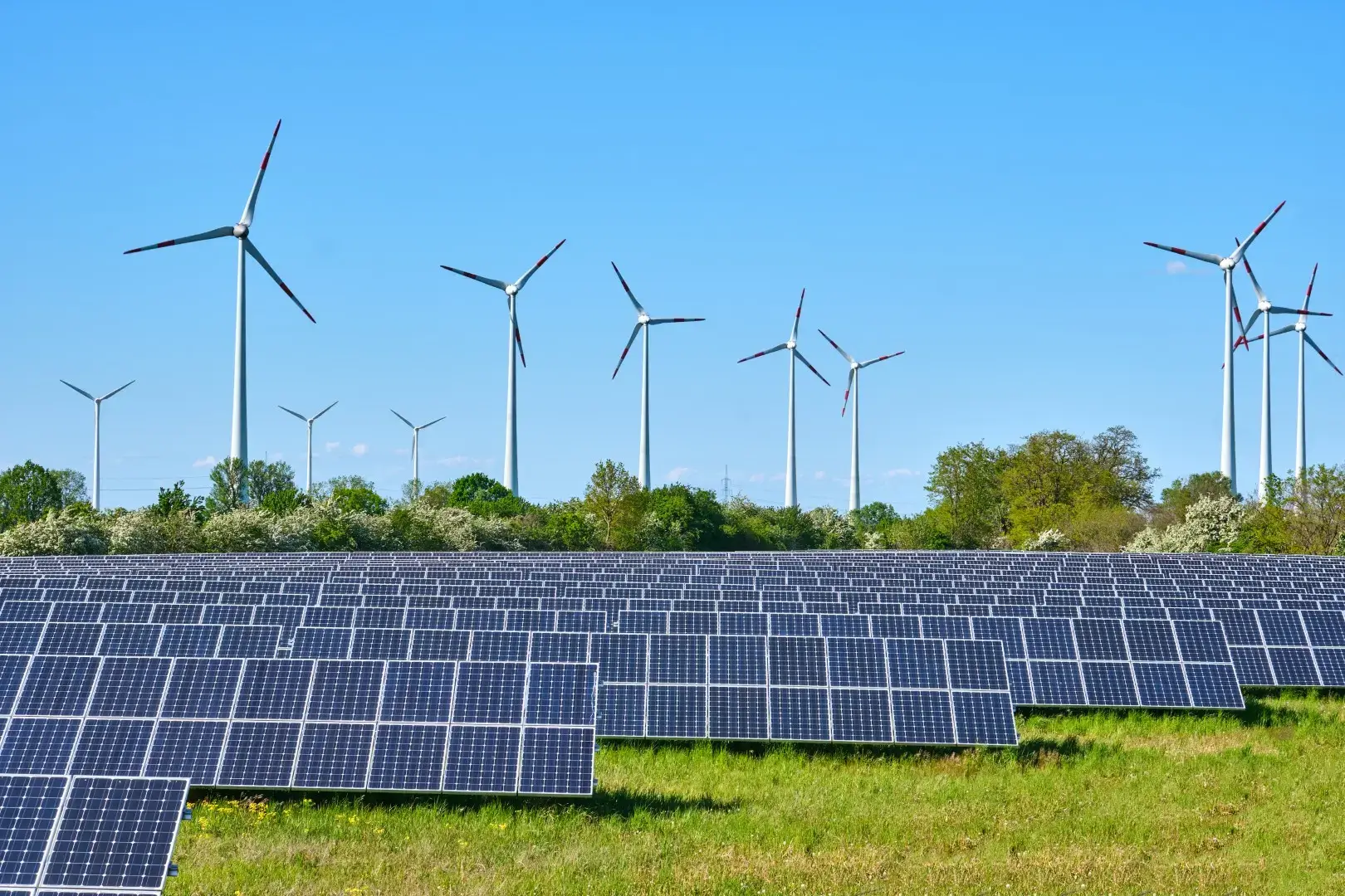 Green Horizon Solar Farm